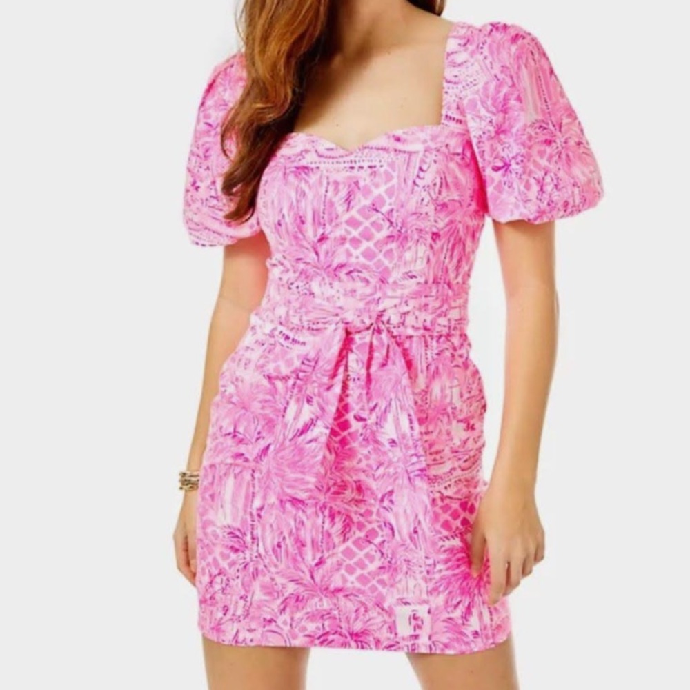 Lilly Pulitzer Merian Stretch Dress in size 0